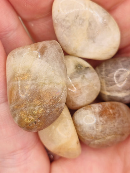 Peach Moonstone Tumbles - Small