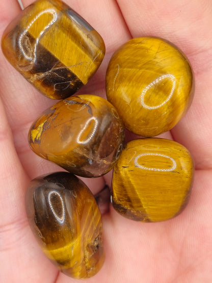 Tigers Eye Tumbles - Small