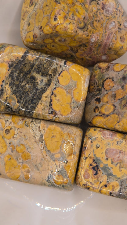 Leopard Skin Jasper Cubes - Small